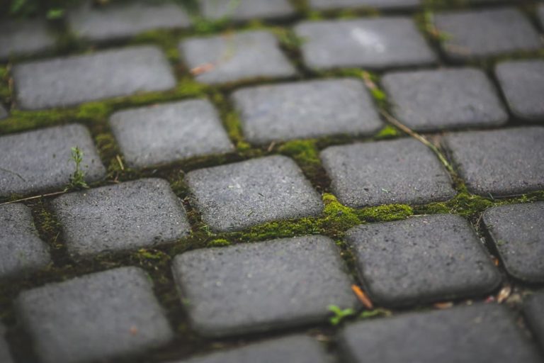Układanie kostki betonowej krok po kroku